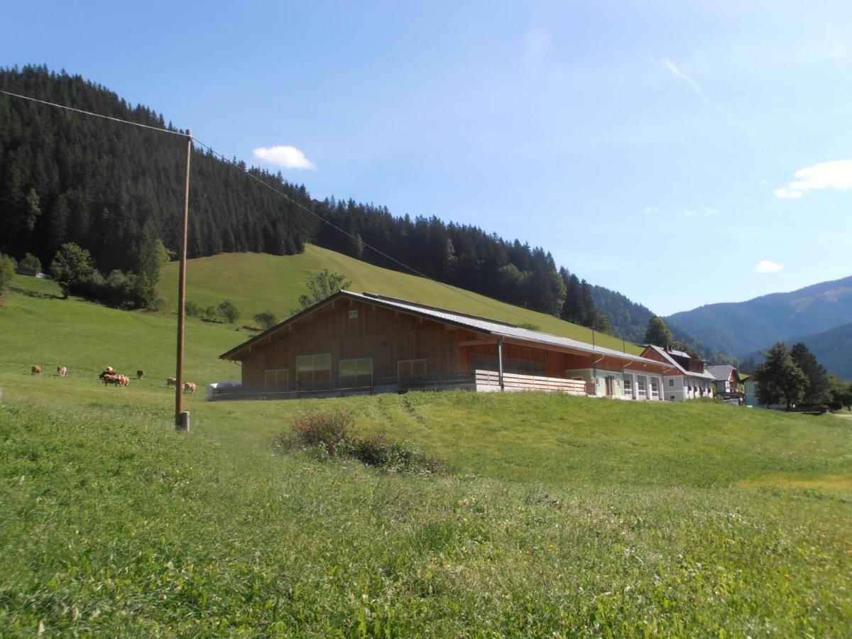 Villa Huberbauer Johnsbach Esterno foto